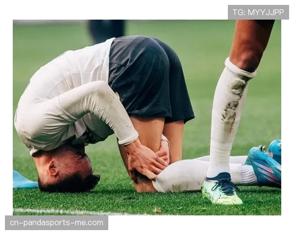 维尔茨重伤后状态恢复程度如何体现