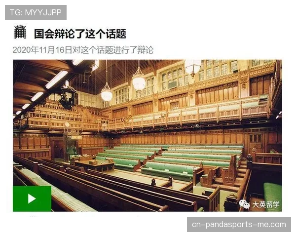 比赛申诉规则解析：申诉条件与裁判判罚的有效界限